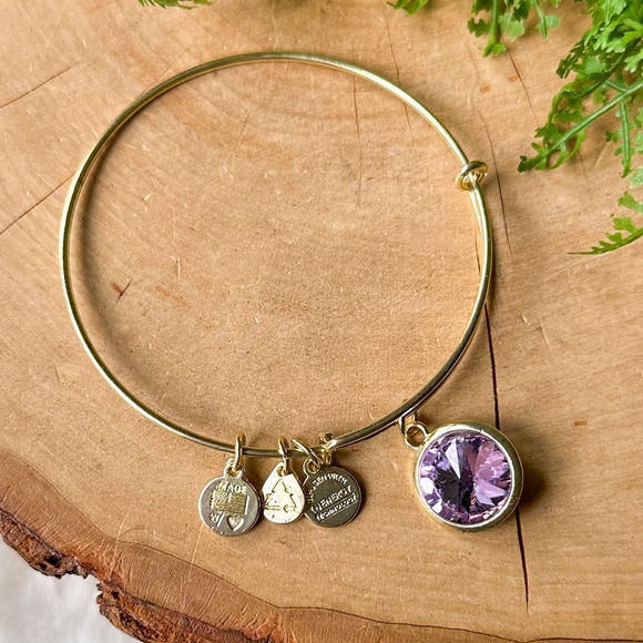 ALEX AND ANI CRYSTAL BIRTHSTONE LIGHT AMETHYST PURPLE JUNE GOLD CHARM BRACELET - Picture 2 of 4